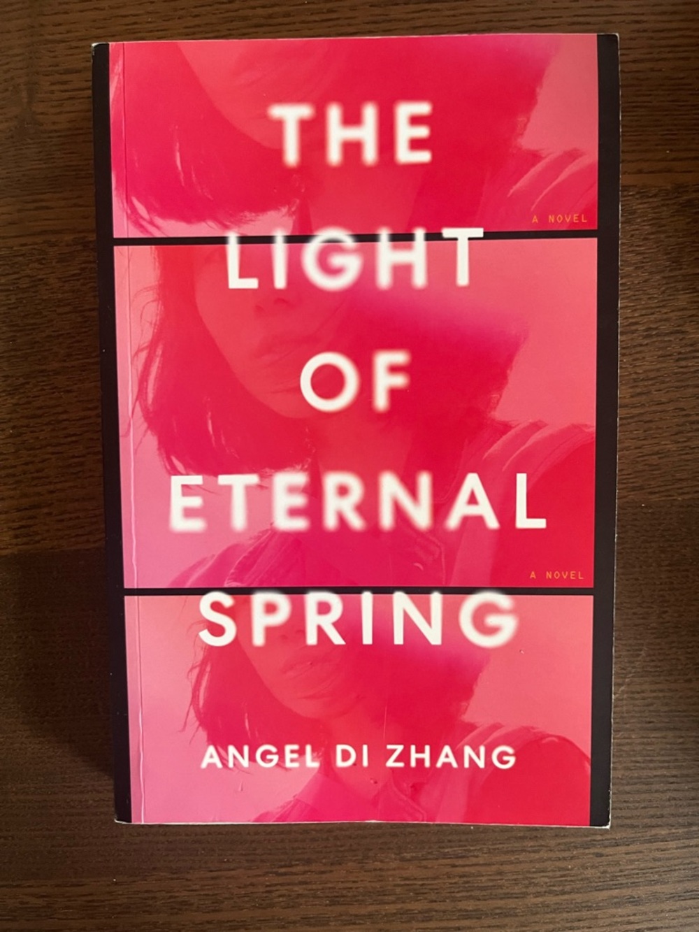 Book | The Light of Eternal Spring by Angel Di Zheng